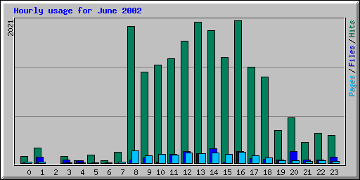 Hourly usage for June 2002