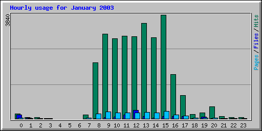 Hourly usage for January 2003